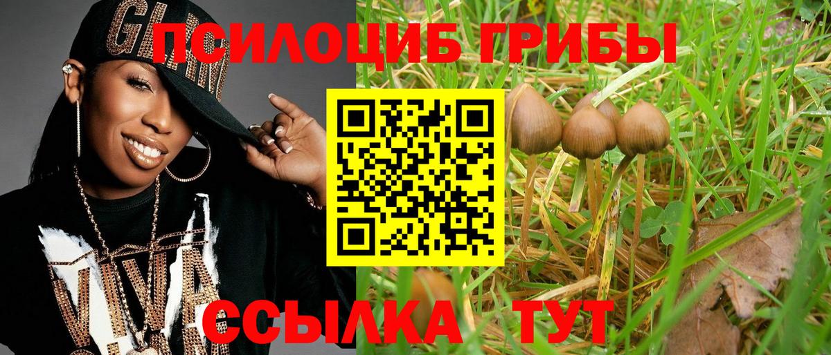 Галлюциногенные грибы MAGIC MUSHROOMS Донской