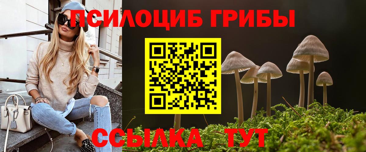 Псилоцибиновые грибы Psilocybe  Вход с VPN  Донской  Псилоцибиновые грибы Cubensis 